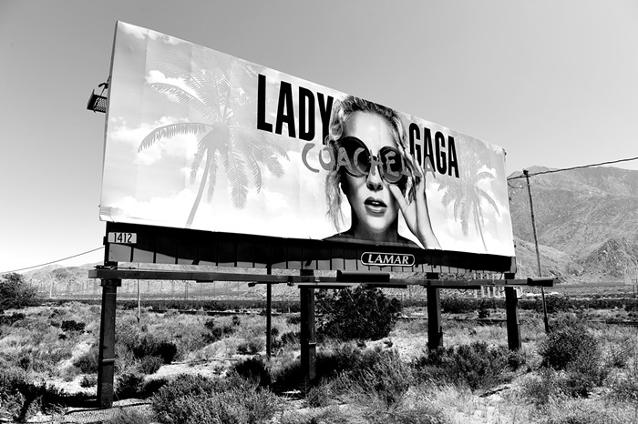 Meanwhile, in Palm Springs, Their City Council Is Now Entirely Queer